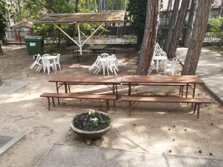 לינה וארוחת בוקר שיופוק Fenyves Panzio מראה חיצוני תמונה